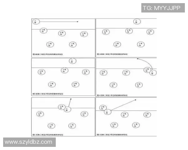 重庆排球队防守策略解析助力球队在排球赛场上崭露头角